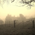 000 0606%20%28500x375%29