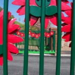 b1%20%281%29%20%28500x335%29