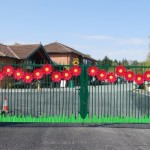 b1%20%2815%29%20%28500x231%29 0