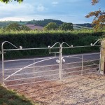 sarah%20rising%20%20%28600x450%29